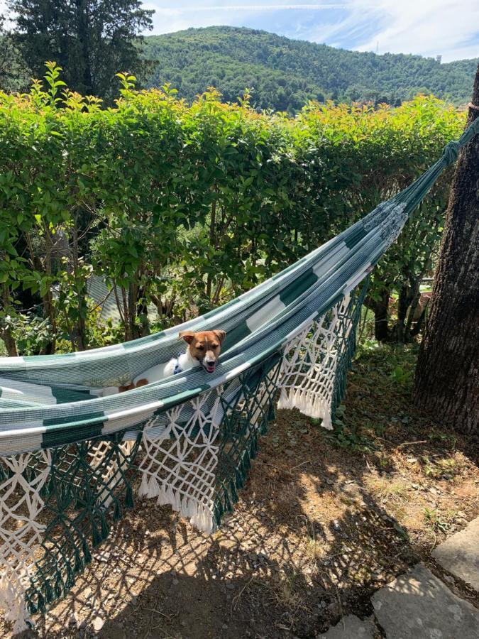 Barco Mediceo B&B In Toscana Карминяно Екстериор снимка